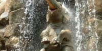 Een snelle douche