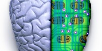 “Computerbrein” versus “menselijk brein”