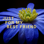 Best friend