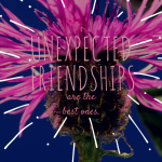 Unexpected friendships